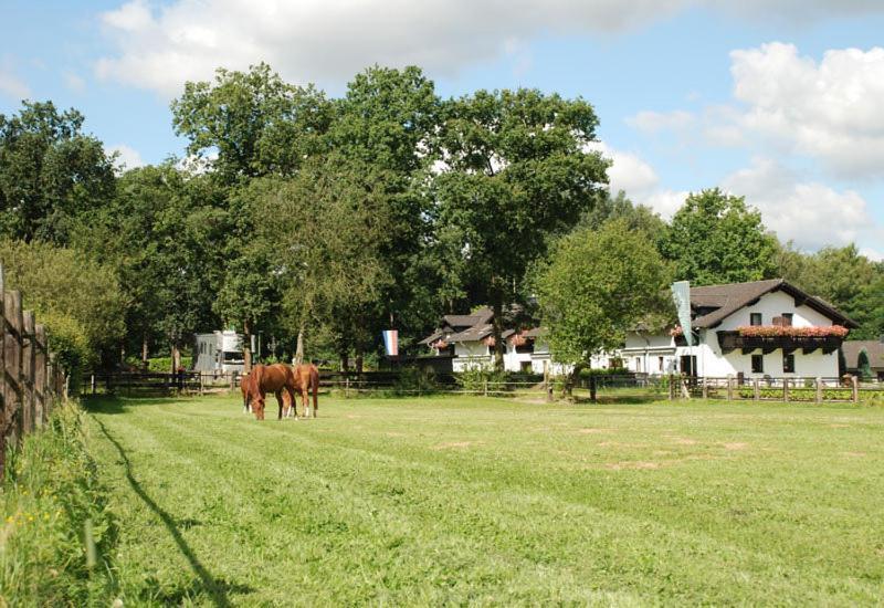 Landhotel Linden Am Venekotensee Niederkrüchten Екстериор снимка