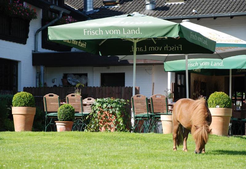 Landhotel Linden Am Venekotensee Niederkrüchten Екстериор снимка